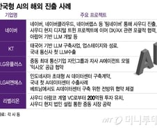 데이터주권 앞세운 '소버린 전략', 글로벌 틈새시장 파고든다