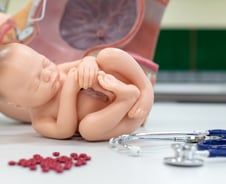 "국가가 살인 부추기는 것" 날 세운 의사…'만삭 낙태' 추진에 '우려'