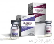 치매 치료하다 뇌 손상…식약처장 "'레켐비' 추적검사 확대 고려"