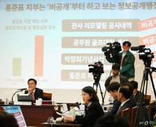 홍준표 없는 '홍준표 국감'…與, 대구 박정희 동상·취수원 사업 질타