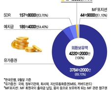 美 "반도체 관세 미포함"… 쌀·쇠고기 추가 개방여부도 논란