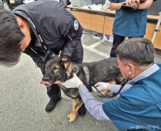 10시간 폭발물 찾고 링거 한 방…APEC 파견 경찰견 위해 '이들' 떴다