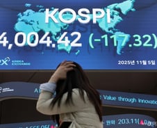하루 새 -14%…"두 배 벌려다가" 레버리지 뛰어든 불개미들 '비명'