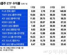"조방원 다 있네" 4163억 몰리더니…'수익률 149%' 그룹주 ETF 1위