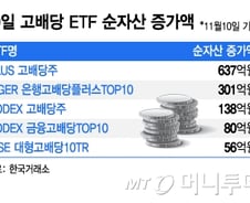 배당소득 분리과세 최고 세율 완화에 고배당 ETF에 뭉칫돈