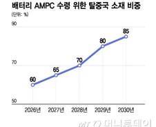 "100% 탈중국, 현실적으로 어려워"…韓中 배터리 오월동주