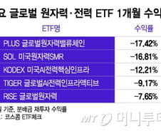 잘 나가던 글로벌 원자력·전력 ETF, 마이너스 수익률 행진