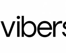 복잡한 AI 도입, 한번에…바이버스, 11억 시드투자 유치