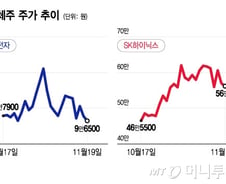 AI 공포에 국내증시 흔들…증권가 "버블 논할 단계 아냐"