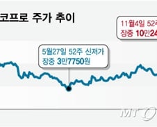 에코프로 3형제 연일 하락…리튬 가격 상승에 엇갈린 전망
