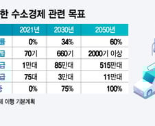 [단독] "예산 깎는다" 제동 걸린 수소차 공급...중국에 1위 내줄 판