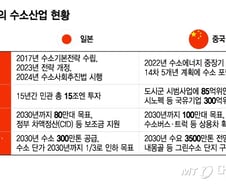 일본 141조 쏟고, 중국도 정부 나섰는데...'수소법 제정' 상징성만 남은 한국