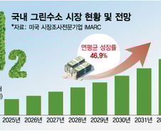 "재생에너지 보완, 수출 동력까지"…왜 결국 '수소'인가