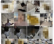 "이게 뭐야" 휴대폰 사진첩에 가득한 X 사진…다 이유가 있다[40육휴]