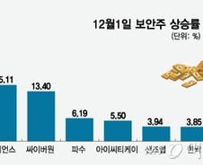 같은 보안주인데..."쿠팡 털렸다" 여긴 상한가, 저긴 '찔끔 상승' 왜?
