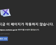 쿠팡 털리자 "개인통관부호 바꾸자" 난리났다...유니패스 홈피 먹통