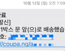 URL 아예 없애야? '정보 유출' 쿠팡, 문자엔 여전히..."이러다간 2차 피해"