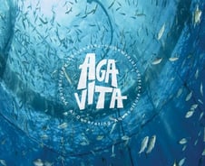 "참다랑어도 AI로 키운다"…더벤처스, '스마트양식' 아가비타 시드 투자