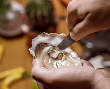 "지금이 제철인데" 이것 먹고 또 설사...공포의 노로바이러스