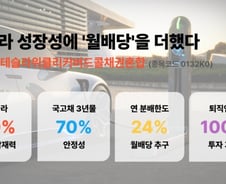 테슬라 성장성에 월 배당 더한 ETF 상장…연 분배율 24% 추구