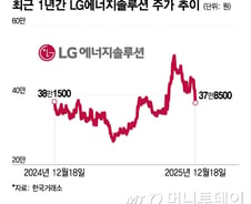 수요둔화 우려에 이차전지株 '풀썩'…LG엔솔 8%대 '급락'
