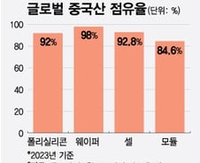 "중국이 끄면 한국 멈춘다"… 태양광의 섬뜩한 경고