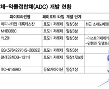 인투셀, 머크도 발목 잡힌 'B7-H3' ADC…'오파스'로 판 흔든다