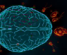 태국 다녀온 50대, 11일 만에 숨졌다...'치사율 97%' 무시무시한 이 병[뉴스속오늘]