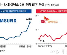 13만전자·72만닉스에 진짜 대박 난 ETF 따로 있다