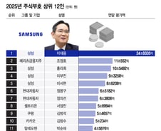 [더차트]국내 주식자산 부호…1위 이재용, 2위는 누구?