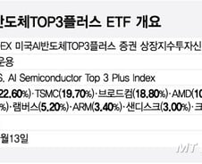 올해도 AI 간다…美 반도체 TOP3 집중 투자 첫 ETF 나온다