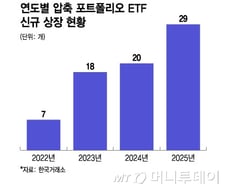 분산 투자 아니었어? 똘똘한 종목만 담은 '압축형' ETF 쏟아진다