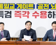 국민의힘 "트럼프 '韓 관세 인상', 국회 비준 외면한 이재명 정부 책임"