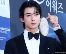 차은우 200억 탈세 의혹에 입 연 소속사…"세무 당국 확인 중"