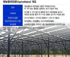 [단독]수도권 농지서 '기가급' 태양광 발전 가능하다