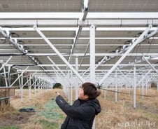 일본 농촌 살리는 논밭 위 태양광…청년 농부도 늘린다[르포]