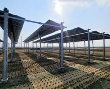 벼 위에서 만드는 전기…"일손 부족한 농촌에 꼭 필요"