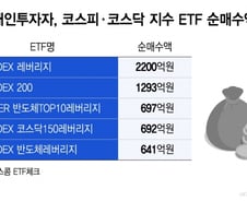 "야수의 심장 통했다" 코스피 레버리지 줍줍한 개미들 방긋