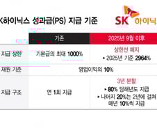 '의사보다 돈 잘 버는 회사원' 시대 연 SK하닉…'의대 불패' 흔드나