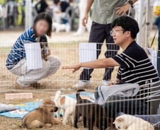 "주말이 더 바빠"… 나주시 동물복지 바꾼 '직장인 활동가'