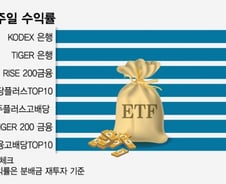 변동성에도 살아남은 은행ETF…주주환원까지 기대감↑