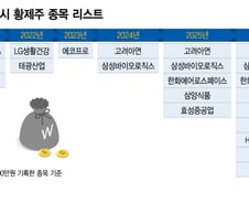 달아오르는 코스피…국내증시 9황제 시대 개막