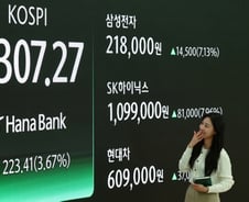 6000피 찍자마자 6300도 돌파..."무섭게 오른다" 삼전·하닉 '신고가'
