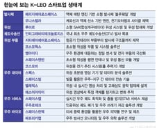 "돈 되는 우주사업 제대로 해보자"…주목받는 'K-LEO' 주자들은