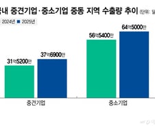 "이제 막 사업 좀 해보려는데…" 중동 전쟁에 중견·중소기업 '골머리'