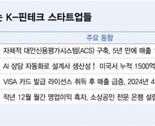 인도 신용평가부터 美 주담대까지…실적내는 K-핀테크, IPO 간다