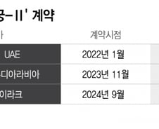 이란 미사일 92% 잡은 '천궁-Ⅱ'…"한국군 물량이라도" K방산 러브콜