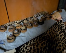 "퇴근하고 쑥뜸방 가자"…청년들은 지금 '리커버리노믹스'