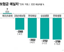 'IFRS17' 3년 보험사도 외형보다 내실, 수익성보다 건전성으로 '승부'
