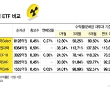47% 뛴 이 종목 비중 높다...급등락 버틴 K원자력, 어떤 ETF 살까[ETFvsETF]